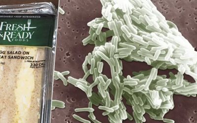 The Listeria Outbreak Hospitalizes at Least 10 in California and Nevada Weborik News Image