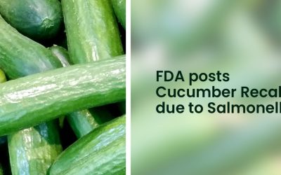 The FDA Recalls Cucumbers in Multiple States Due to Salmonella Outbreak Weborik News Image