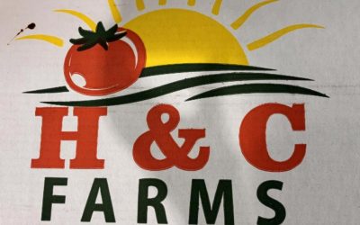 Tomato Recall Gets Highest Risk Warning Over Salmonella Fears Weborik News Image